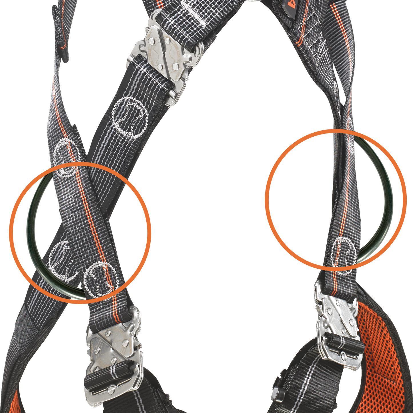 IGNITE SKYFIZZ