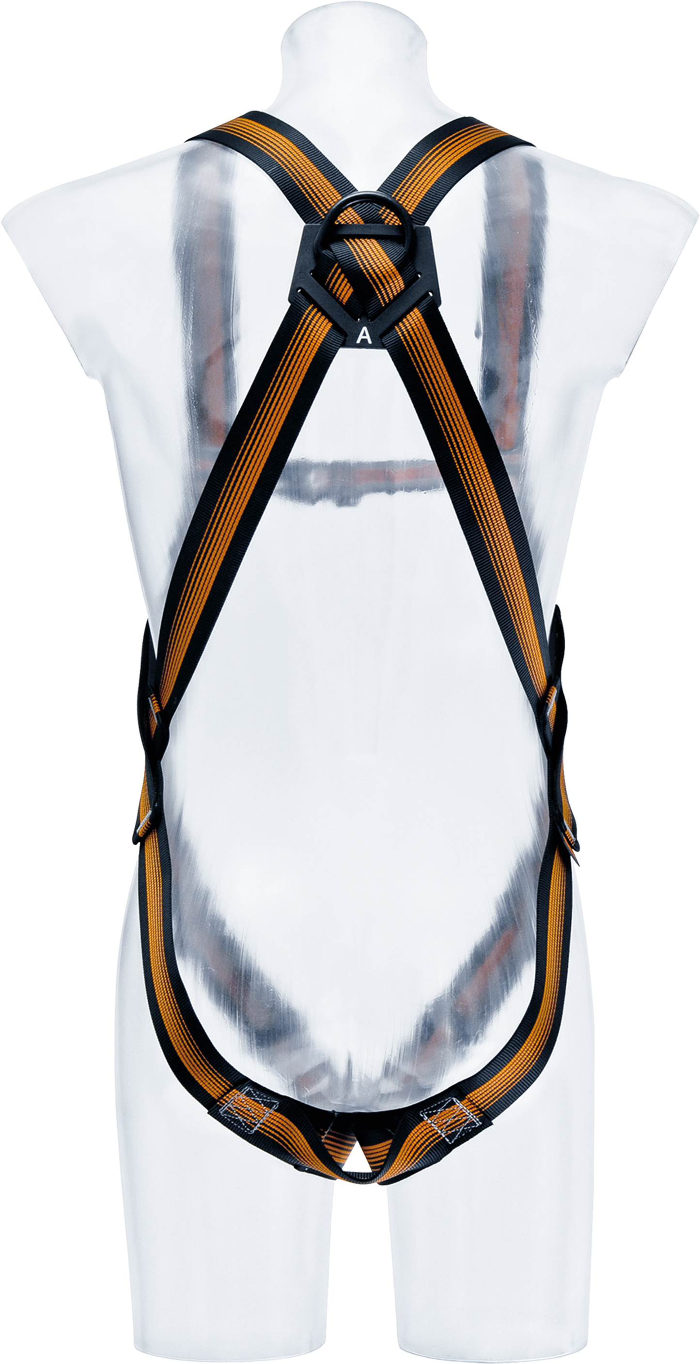 CS 2