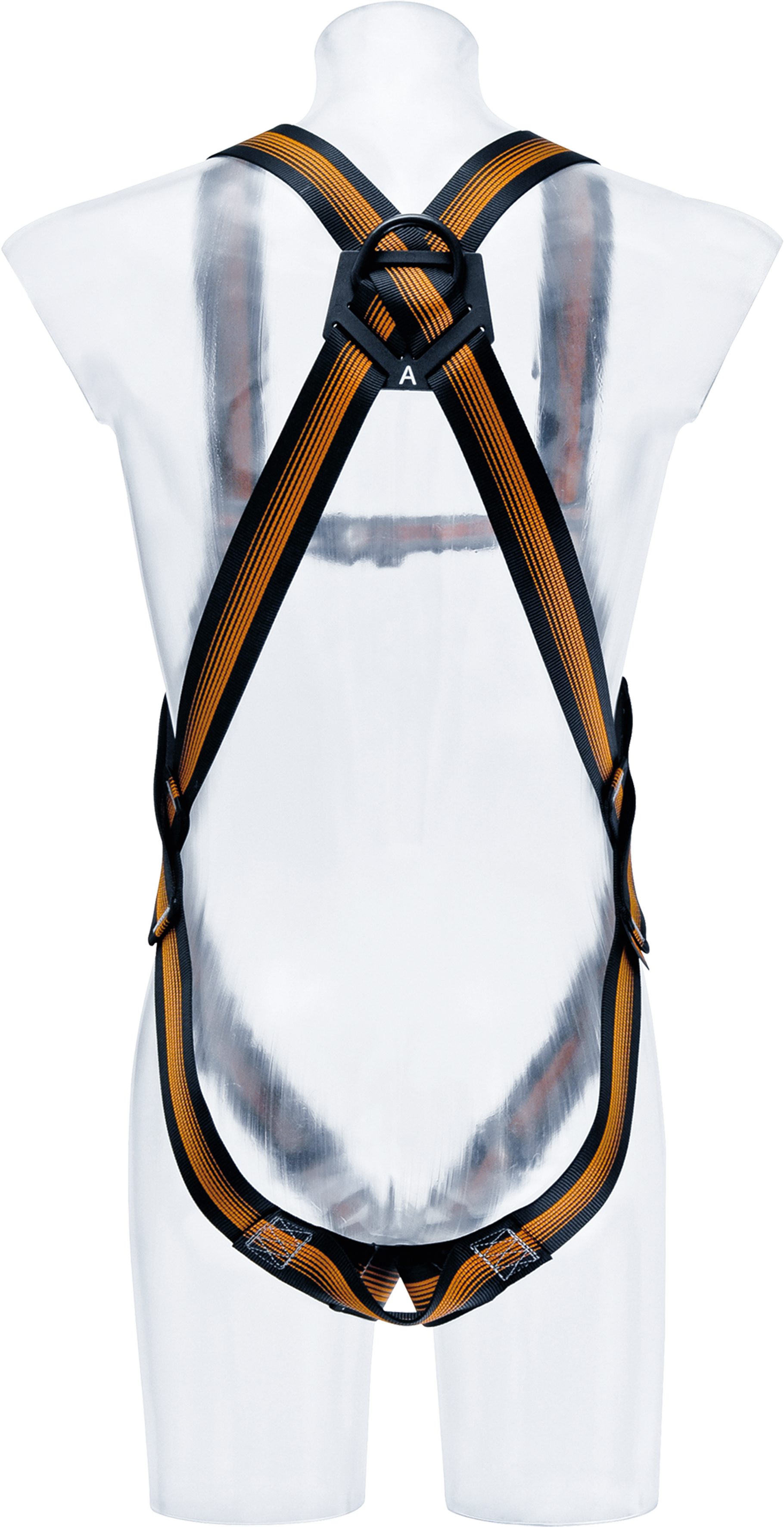 CS 2