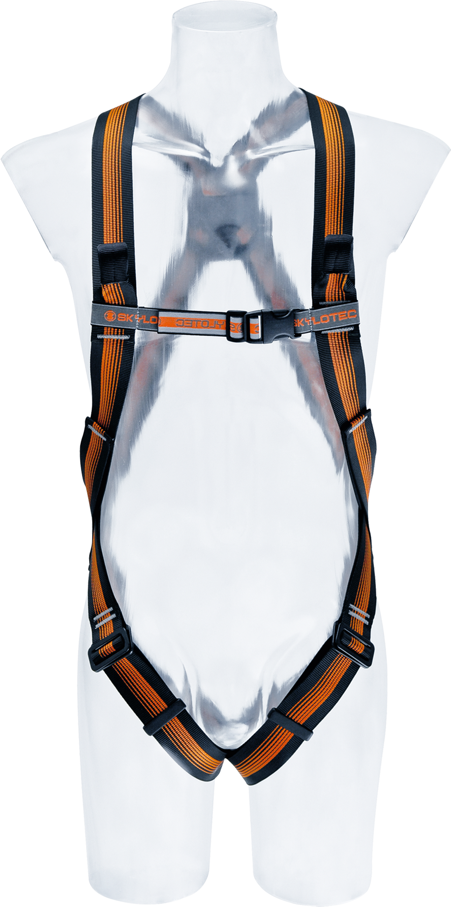 CS 2