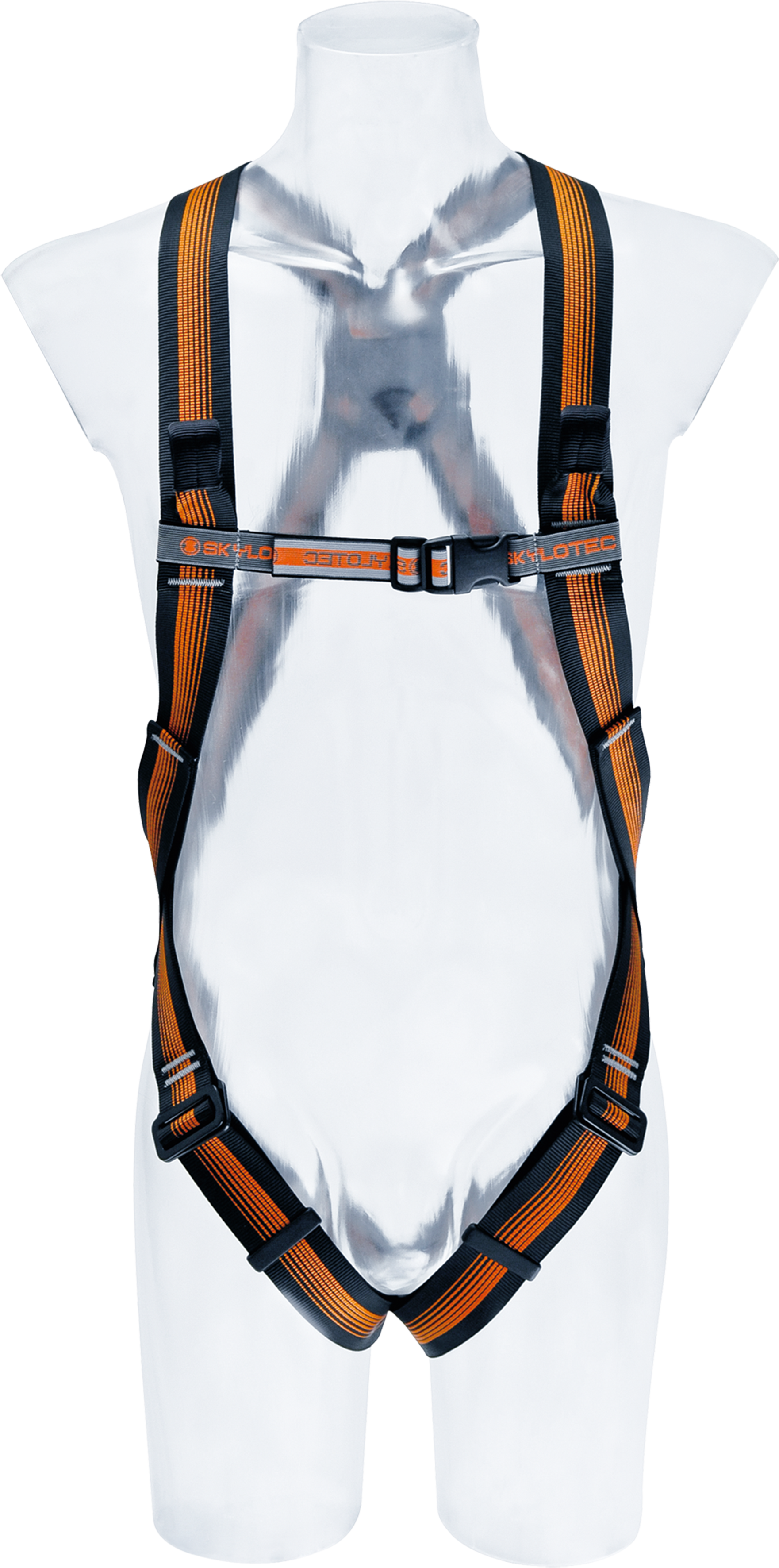 CS 2