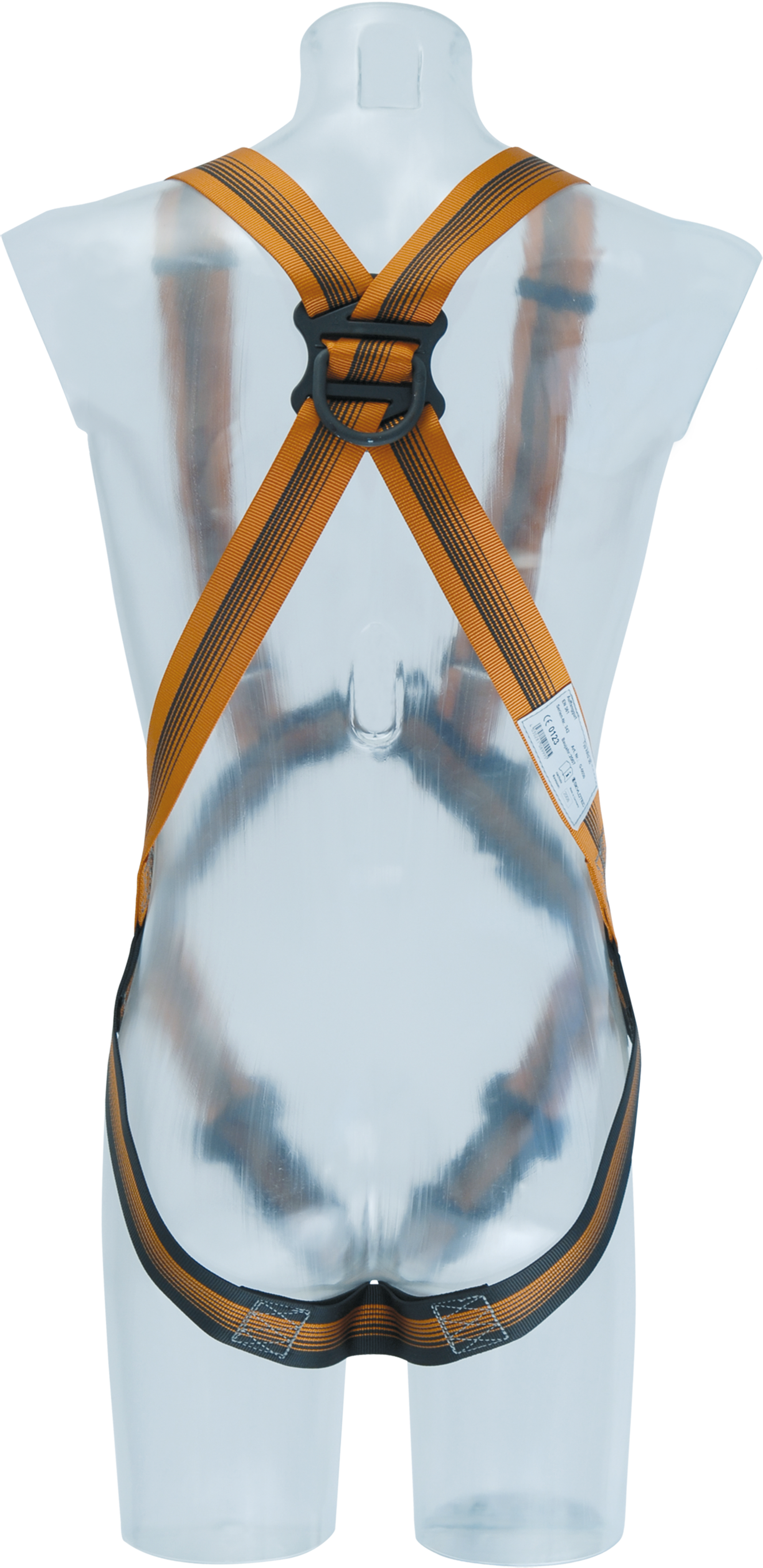 ARG 30